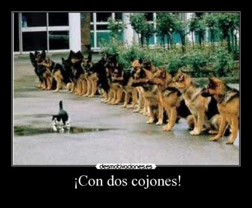 cojones_2